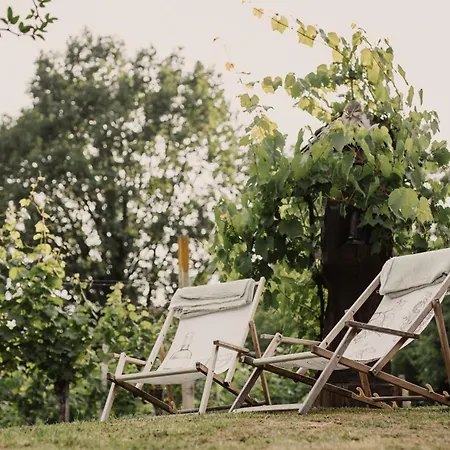Nyaraló Im Weingarten *